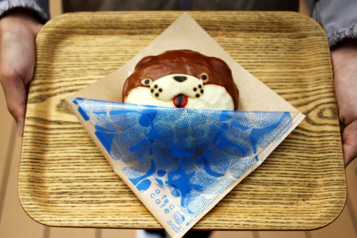 [神户市] 融合艺术的水族馆式剧场“AQUARIUM×ART átoa”