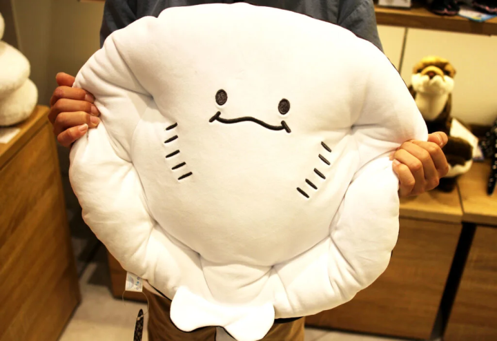 “圆点黄貂鱼坐垫”（腹侧） 