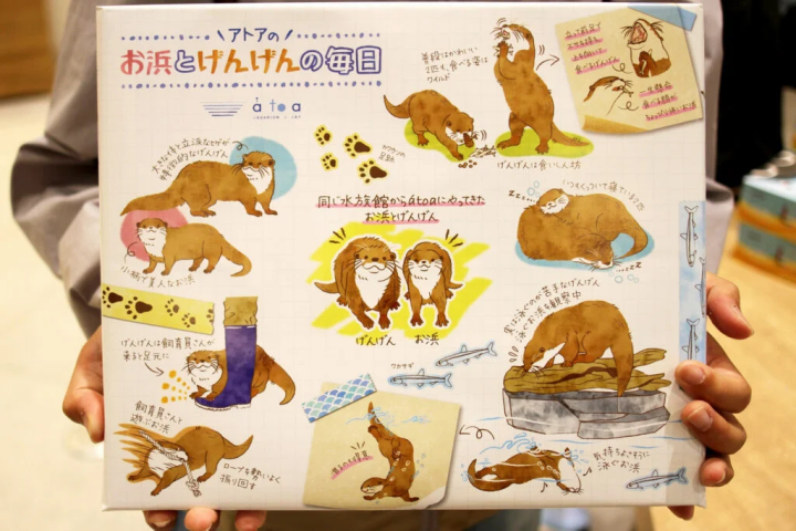 [神户市] 融合艺术的水族馆式剧场“AQUARIUM×ART átoa”