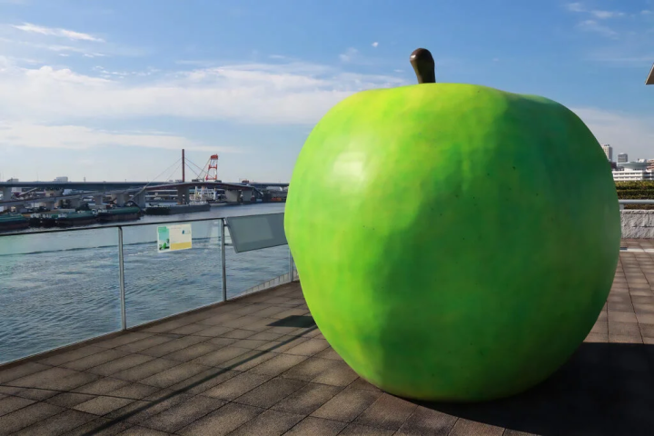 照片提供:兵库县立美术馆