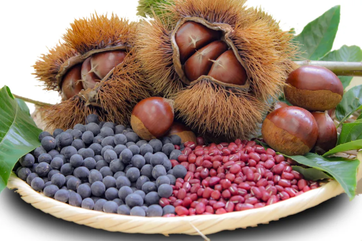 A thorough explanation of the five areas of Hyogo Prefecture and their charms! Gourmet food, hot springs, nature, etc.