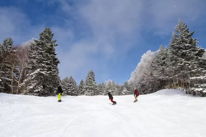 我想享受冬天的长野观光！介绍旅游景点、美食、温泉