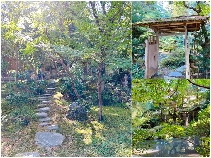 [Taiwanese Editor Kuma's Walk in Kanazawa] Tea Ceremony Experience at Kanazawa's Oldest Teahouse "Saisetsu-tei" Located in "Gyokusen-en Garden" with a History of Over 400 Years.
