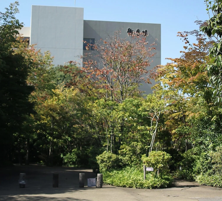 [姬路市] 在 Gozasoro 运营的红豆博物馆了解有关红豆的知识。