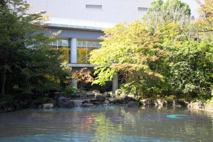 该场地是一个隐藏的治疗地点,周围环绕着树木和瀑布。<br>