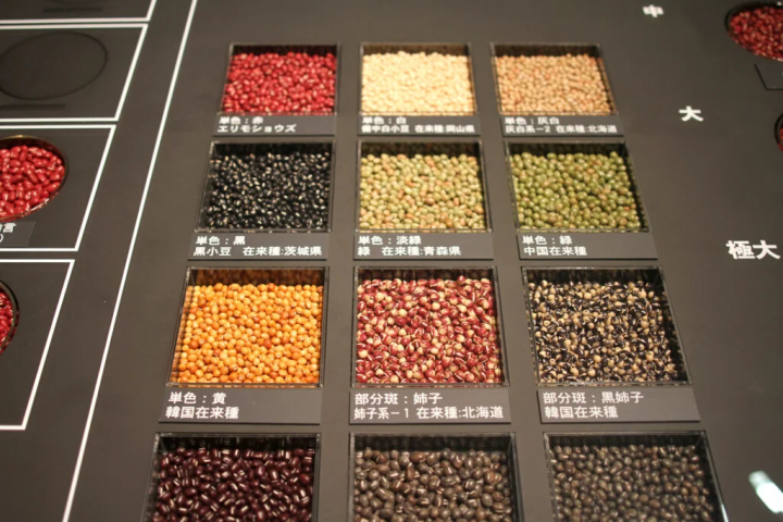 [姬路市] 在 Gozasoro 运营的红豆博物馆了解有关红豆的知识。