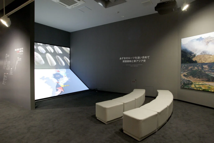 照片提供:“小豆美术馆”/Diorama<br>