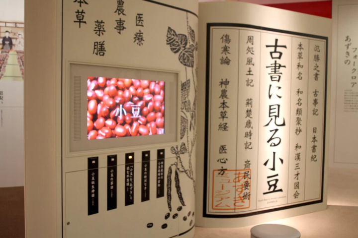 以单口相传方式解说红豆的一角<br>