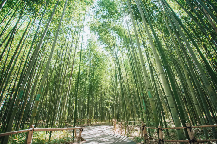 ภาพถ่ายโดยเคโกะ 