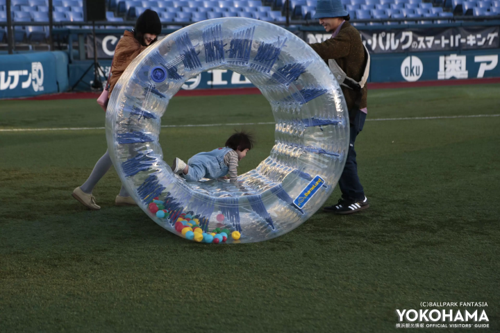 丰富的内容让您的身体随心所欲<br>