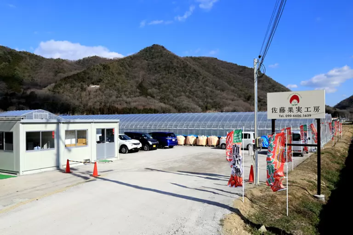 如果你想在兵庫縣採草莓的話,我們推薦你去西脇市!西脇市的特色甜點和特產的詳細介紹