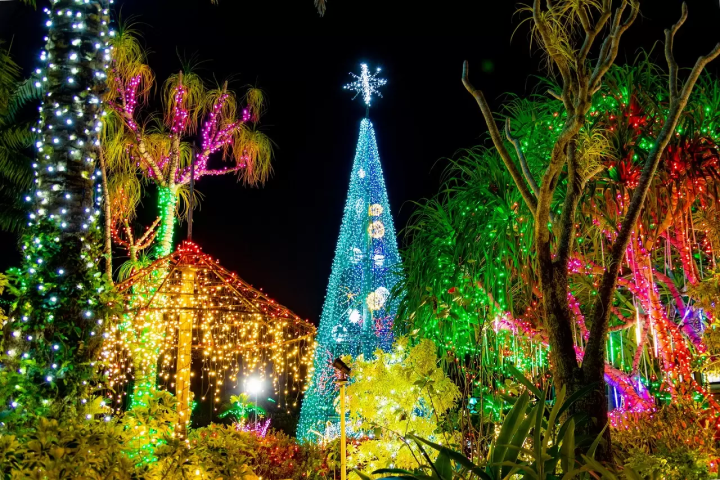 12 Dazzling Award Winning Illuminations In Japan