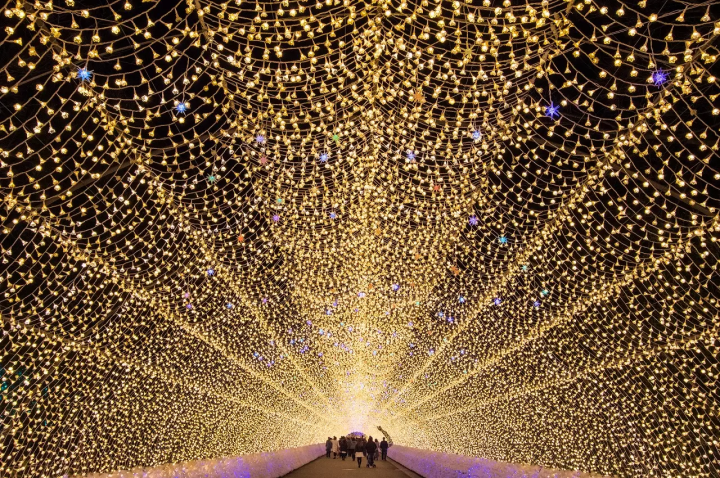 12 Dazzling Award Winning Illuminations In Japan