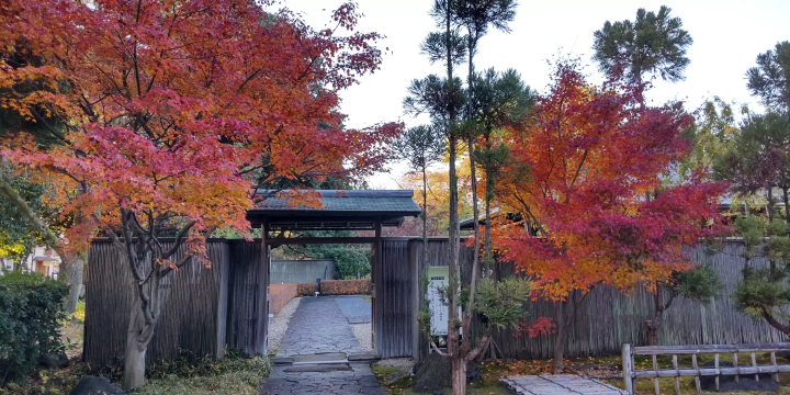【비취암】의 입구 문을 지나 안쪽으로 진행합니다. 