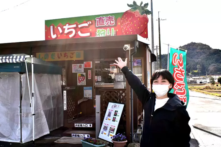 如果你想在兵庫縣採草莓的話,我們推薦你去西脇市!西脇市的特色甜點和特產的詳細介紹