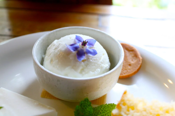 The mildly sweet ice cream has a nostalgic taste.