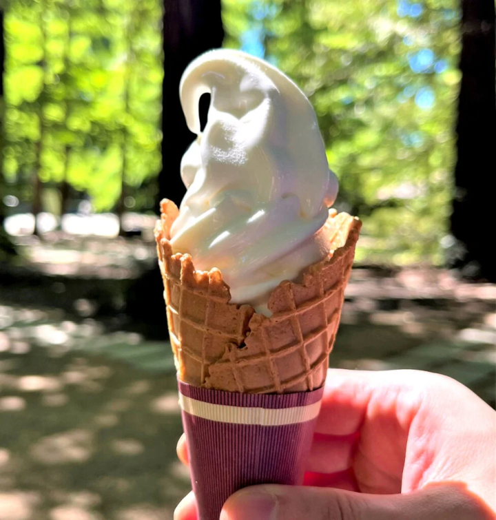 Limited time offer: Milk soft serve ice cream, 500 yen