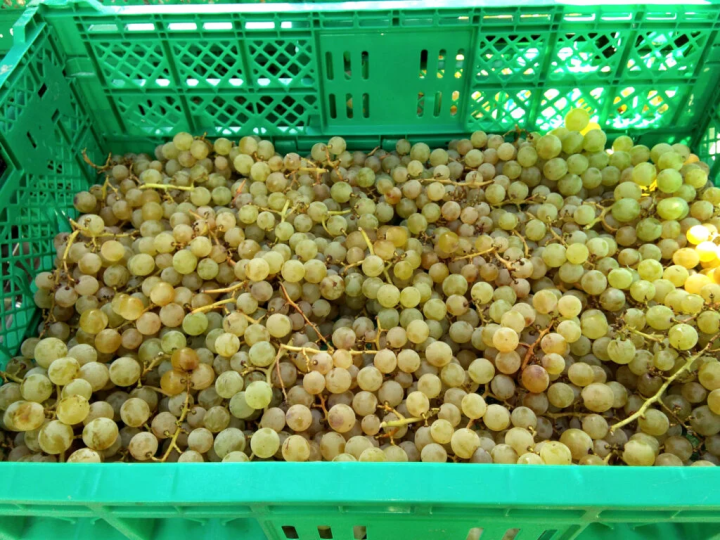 Photo courtesy of "f winery" 