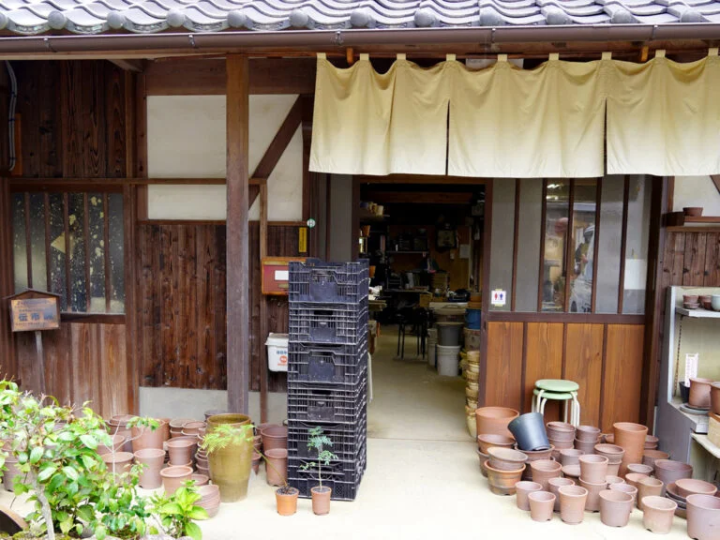 [丹波篠山市] 繼續為被稱為「田一八」的植物製作花盆，這種植物也被丹波篠山博士使用過。