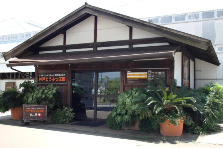 [Kobe City] The charm of being close to the animals! A zoo recommended for family outings