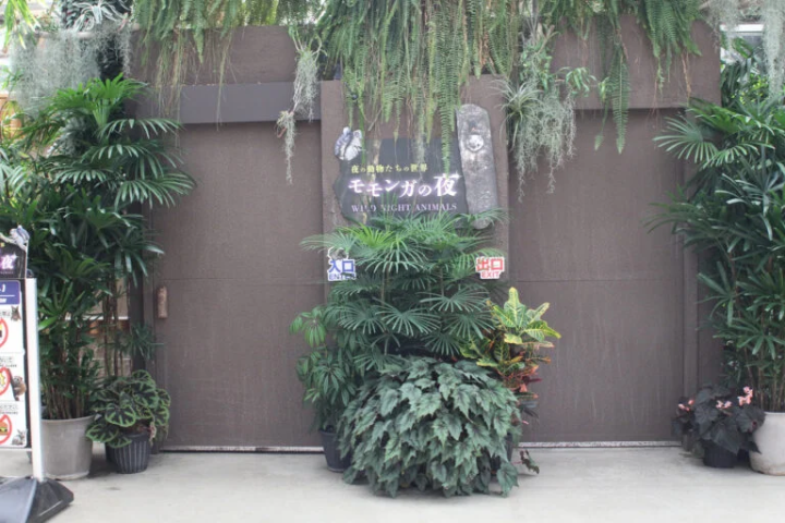 [Kobe City] The charm of being close to the animals! A zoo recommended for family outings