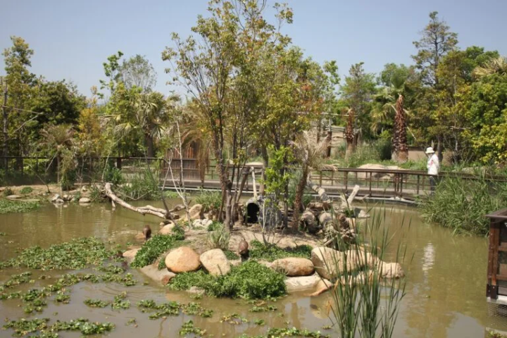 [Kobe City] The charm of being close to the animals! A zoo recommended for family outings