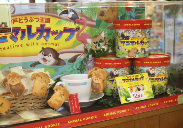 [Kobe City] The charm of being close to the animals! A zoo recommended for family outings