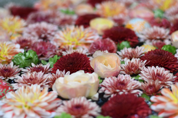 【攻略彻底！ 】行田花手米的步行方法