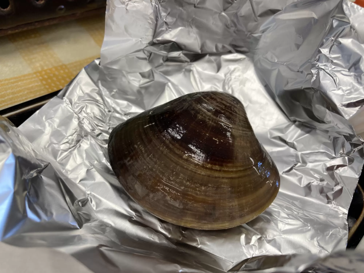 蛤太大了！ ！这是桑名的特产。 