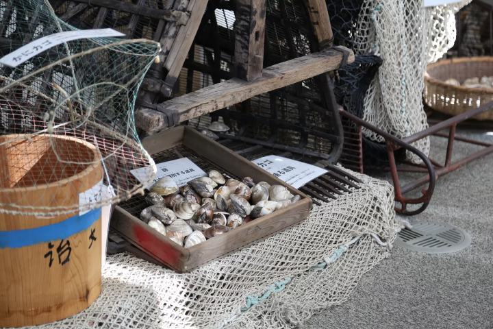 采集蛤蜊的工具说明 