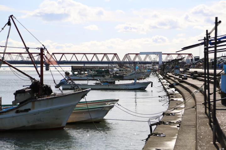 在揖斐川港停泊/骑自行车。花点时间看看停泊的船只也很不错。 