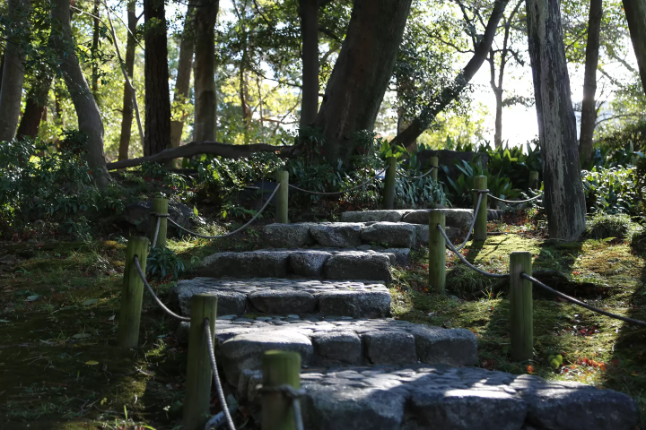 기모노를 입은 분의 사진 스폿에도 사용되고 있던 정원의 일부 