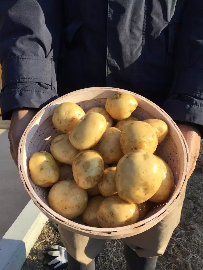 【小豆島】小豆島有数の絶景とアートの地、三都半島にある「三都の郷」で暮らすように過ごす