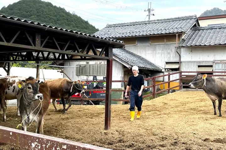 【兵庫丹波】兵庫縣丹波地區的熱門美食，榮獲日本冠軍的絕品乳酪！日本最好吃的起司！