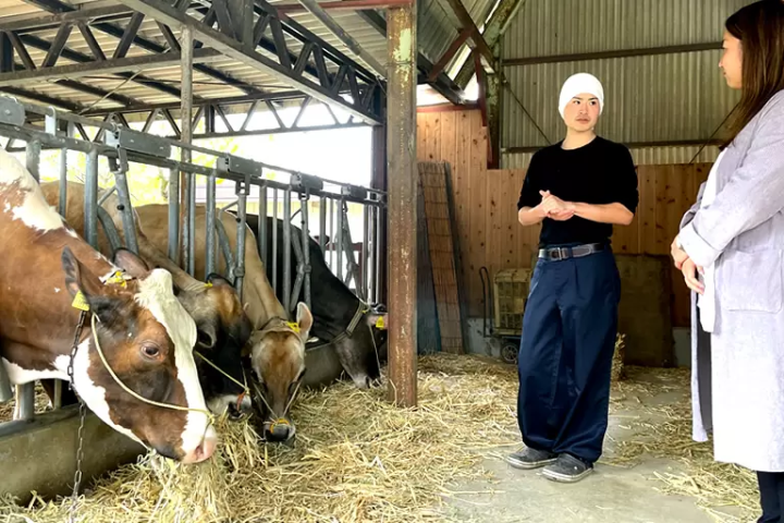 【兵庫丹波】兵庫縣丹波地區的熱門美食，榮獲日本冠軍的絕品乳酪！日本最好吃的起司！