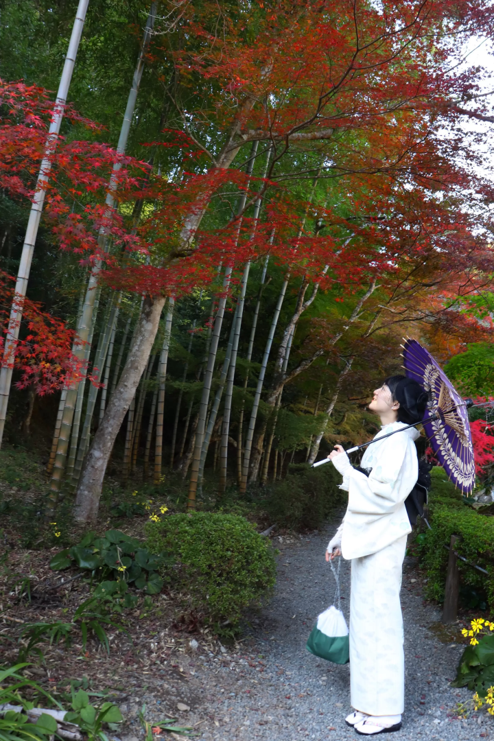 [Joeiji Sesshu Garden] Aesthetic sense unique to Japanese gardens - "Wabisabi" 