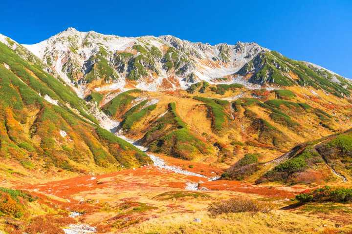 連接富山和長野的大自然！立山黑部阿爾卑斯山脈路線的看點、交通方式介紹