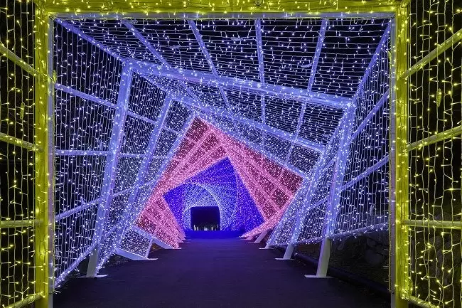 Japan's 15 Dazzling Award Winning Illumination's