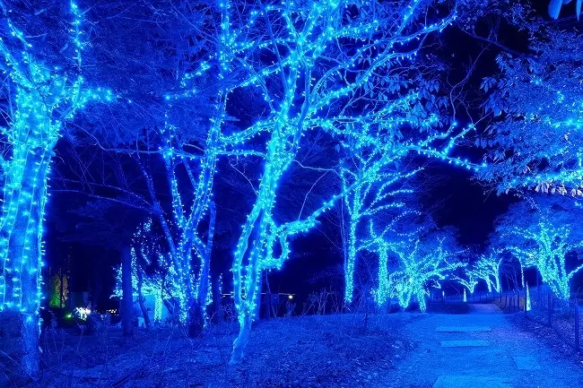 Japan's 15 Dazzling Award Winning Illumination's