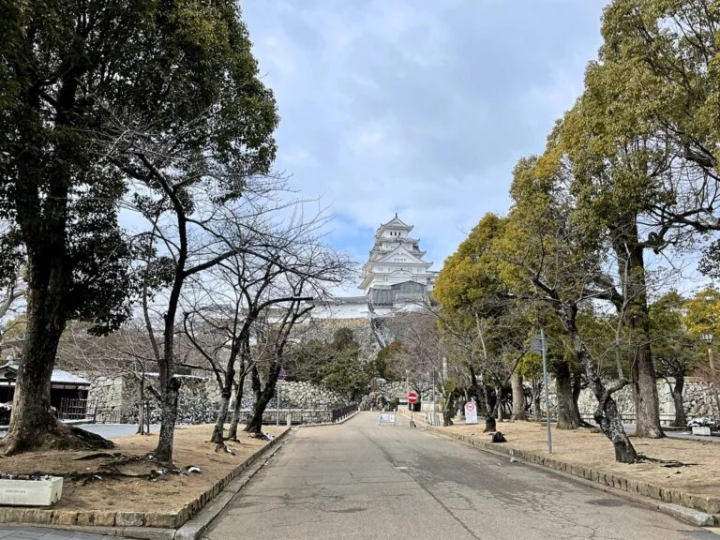 The east side of the castle tower seen from outside the castle. It can be seen clearly from between the city zoo and the city art museum. 