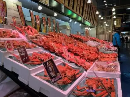 2024년 3월 16일 호쿠리쿠 신칸센 가나자와~쓰루가마 개업! 후쿠이현 쓰루가의 추천 로컬 음식~응과 16선