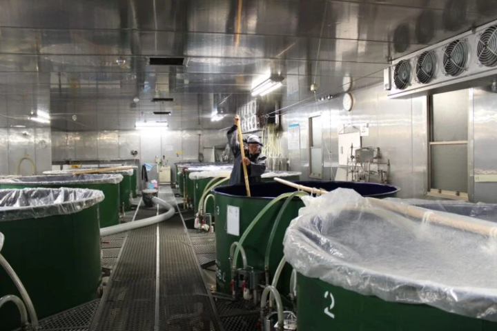 [丹波市]在丹波名酒厂“西山酒造”体验清酒和发酵文化，与艺术品相遇