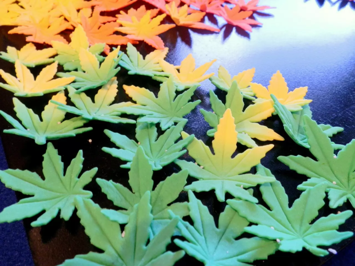 Kyoto Sweets and Culture Festival, Experience the Essence of Kyoto at Miyako Messe!