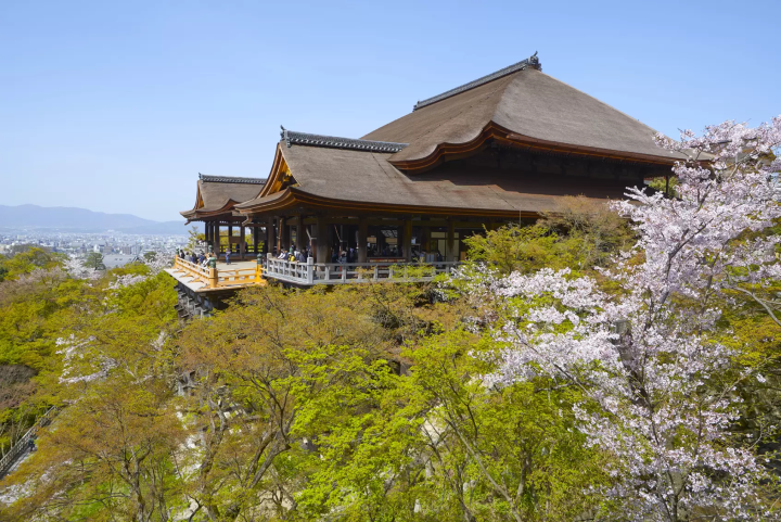 [Kyoto/Sightseeing] Introducing seasonal tourist spots in Kyoto!