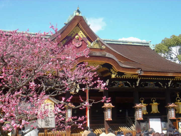 [Kyoto/Sightseeing] Introducing seasonal tourist spots in Kyoto!