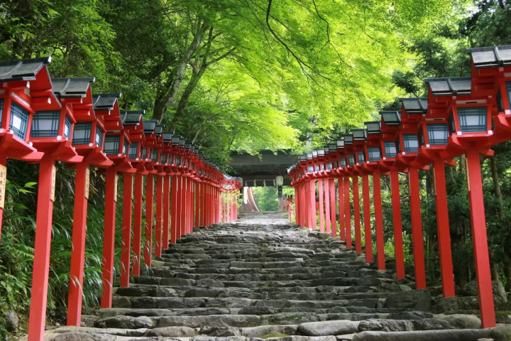 [Kyoto/Sightseeing] Introducing seasonal tourist spots in Kyoto!