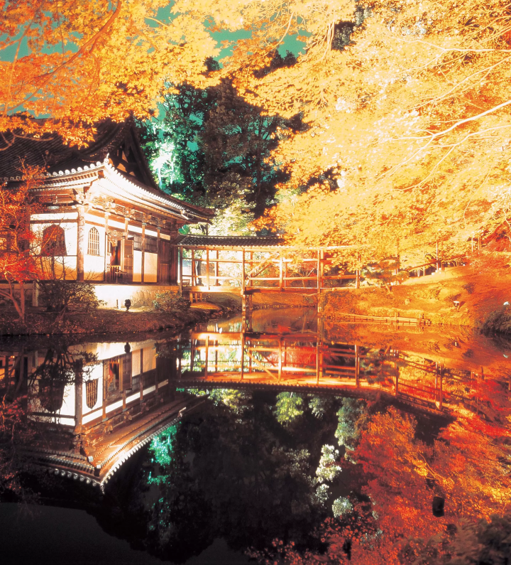 [Kyoto/Sightseeing] Introducing seasonal tourist spots in Kyoto!