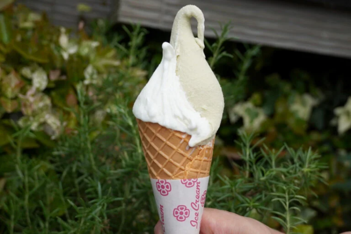 Double size 650 yen + waffle cone 30 yen