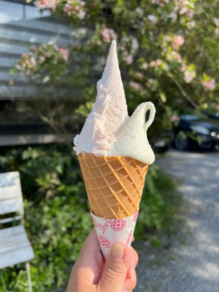 The way it is arranged is also artistic.