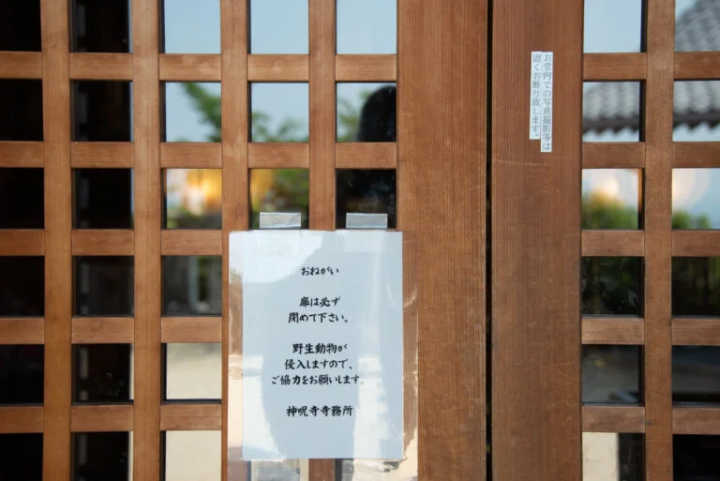 Since it's in the mountains, animals come too. 